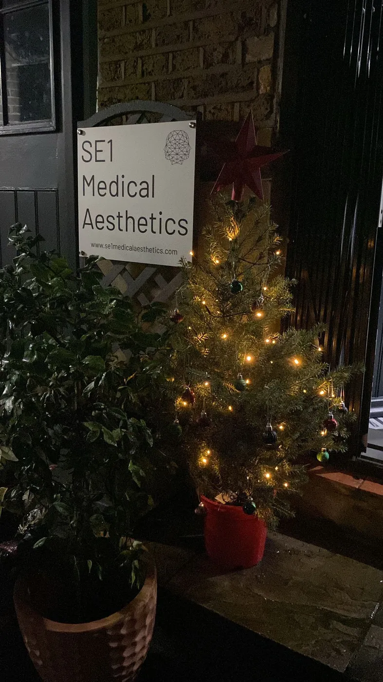 SE1 Medical Aesthetics Christmas Tree 2024