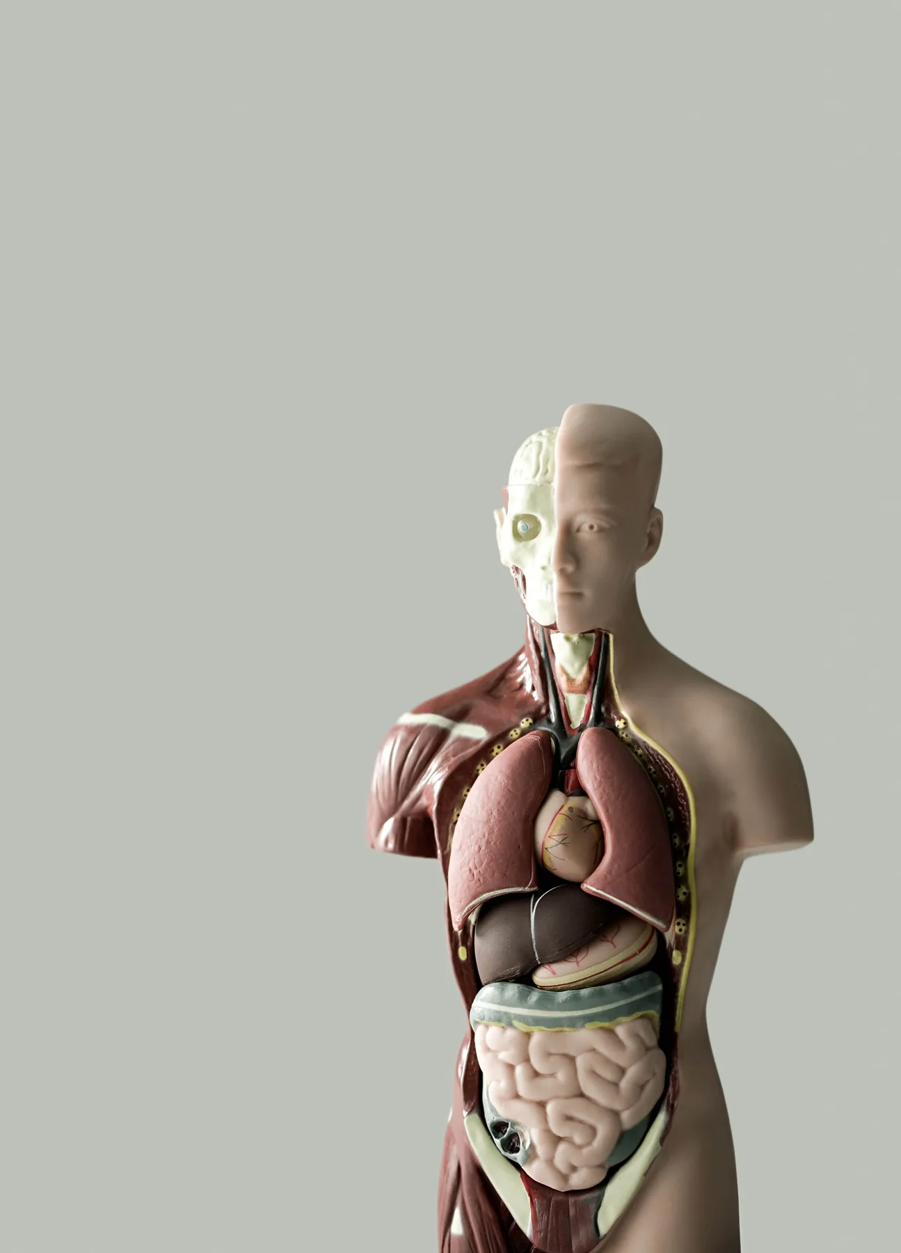 GAPCHECK SE1 Medical London